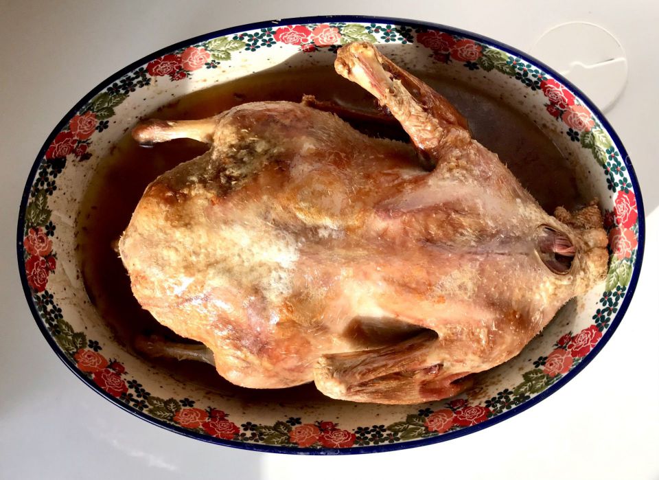 有楽町で味わう絶品寿司の旅—新鮮な海の幸を堪能しよう！